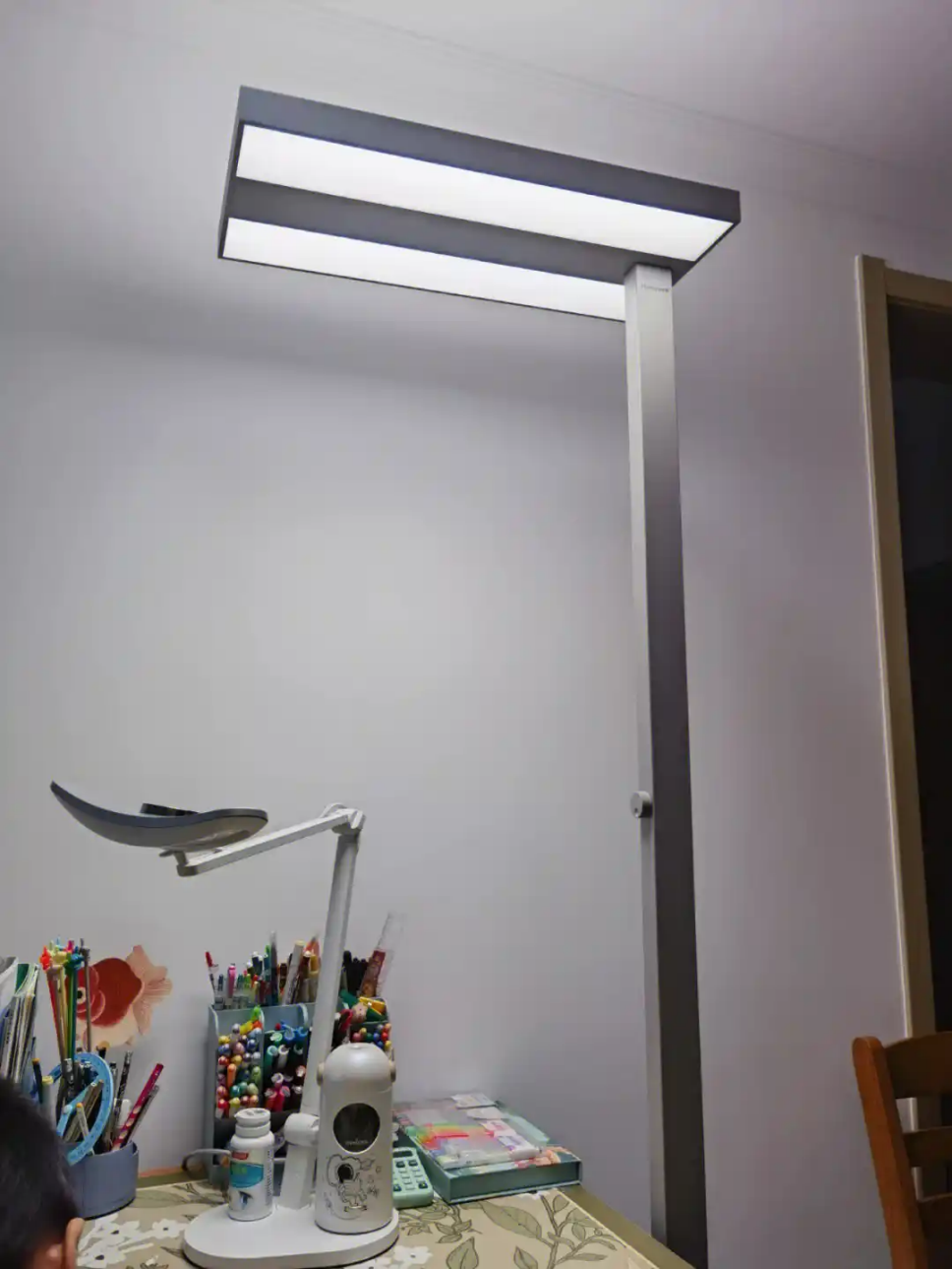现在风很大的护眼路灯买哪个牌子啊，是霍尼韦尔还是柏曼啊？?