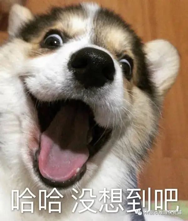 剧本杀测评 一发入魂 Scp题材的硬核本 不要被可爱的画风欺骗了 知乎