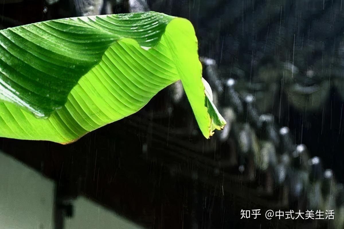 听雨打芭蕉的三重情境