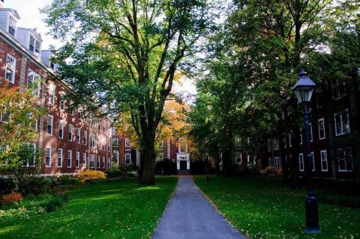 yeezy supply releases