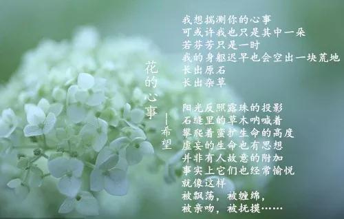 希望,本名张艳梅,山西吕梁人,80后女诗人,于2005年开始创作诗歌,其诗