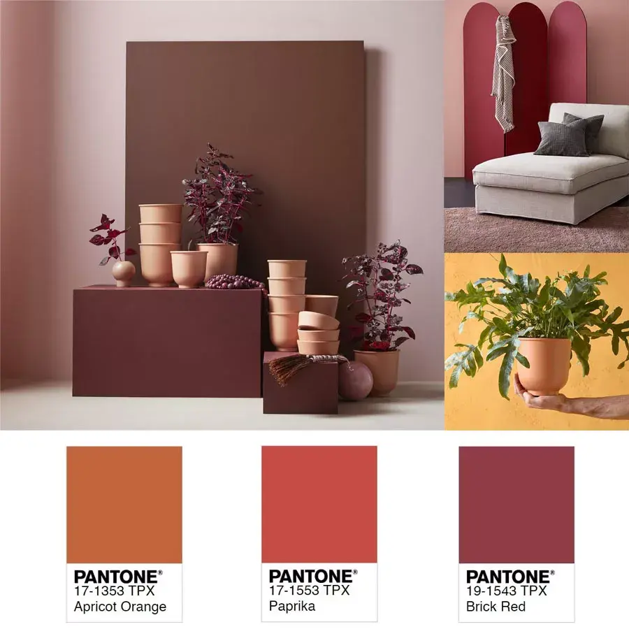 火红莫兰迪配色闹到宜家也沦陷