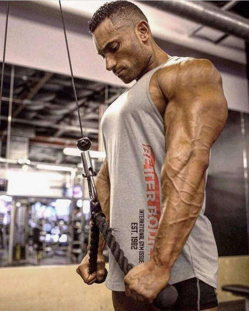 注公众号:百炼堂健美格斗教室 肱三头肌占据了你上臂的三分之二