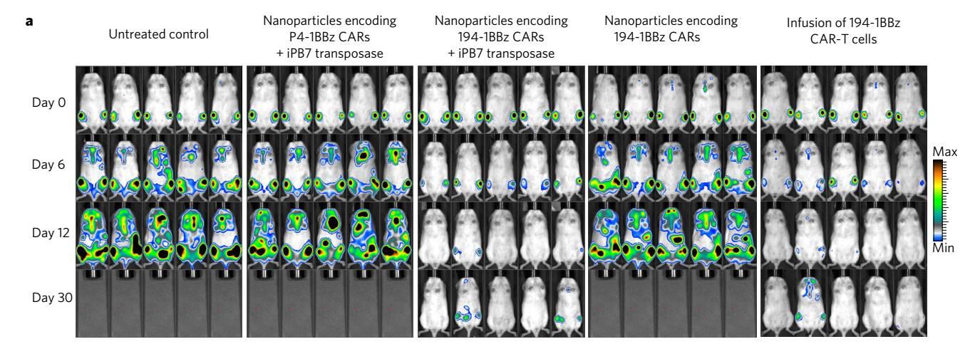 CAR-T新策略：纳米颗粒携带CAR载体在体内产生CAR-T细胞 - 知乎