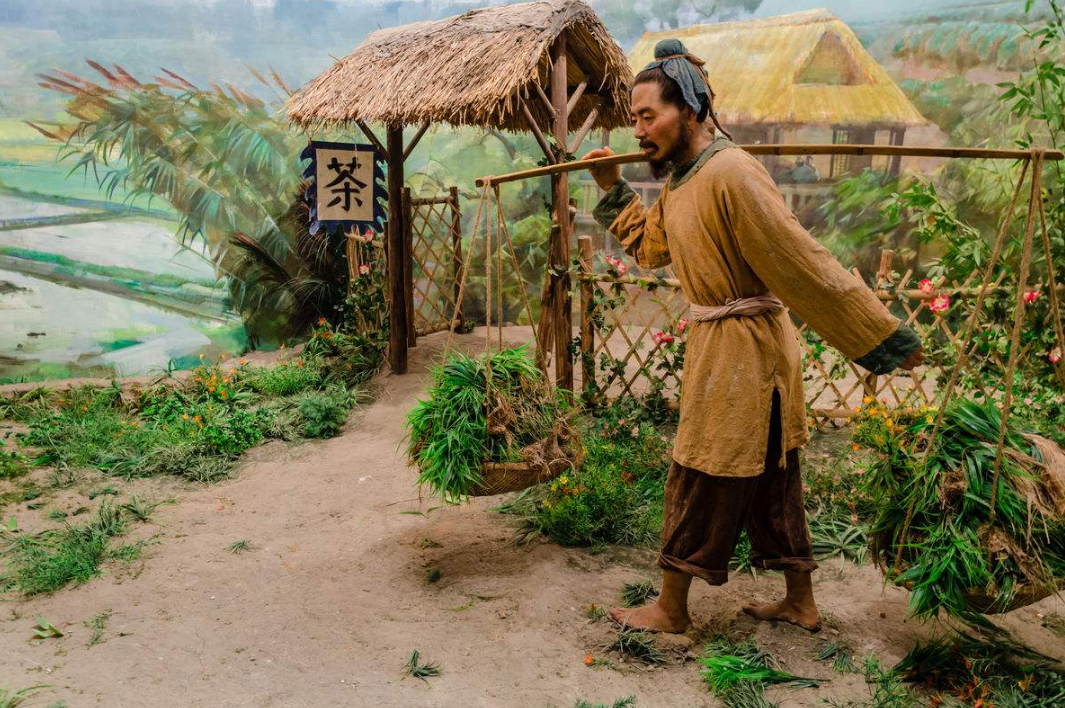 古代社会是如何应对天灾与瘟疫灾害过后又是怎样重建