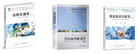 輕鬆上岸405高分學姐向你分享揚大獸醫專碩備考經驗