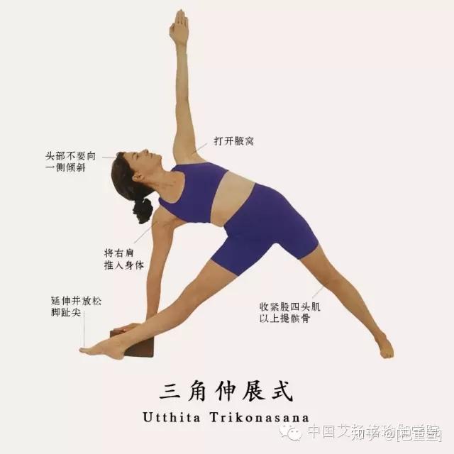 练得安全 | 透析入门经典体式(三角伸展式 战士第二式) - 知乎