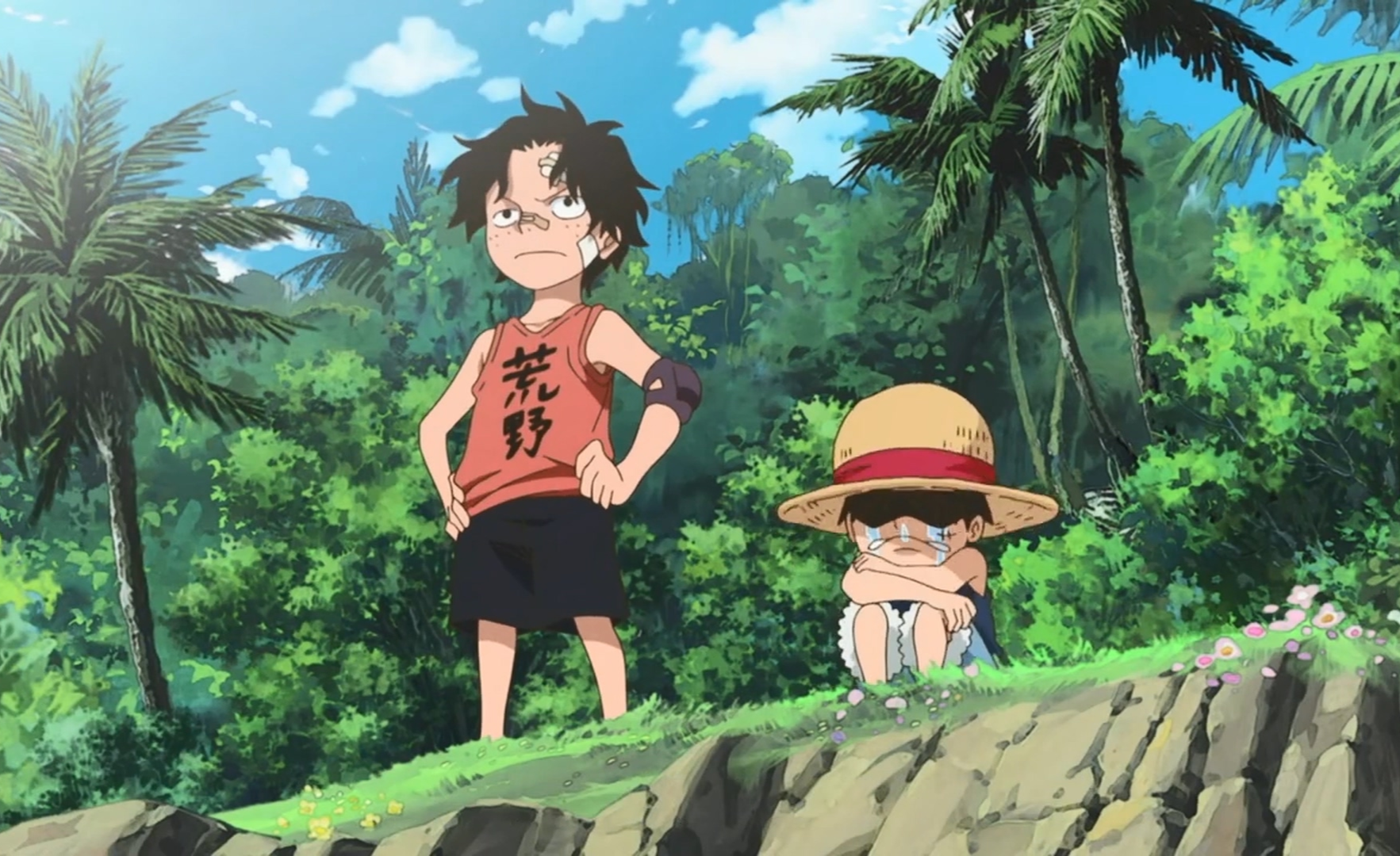 海贼王有见识的哥哥艾斯没教养的弟弟路飞沙漠里的色骆驼