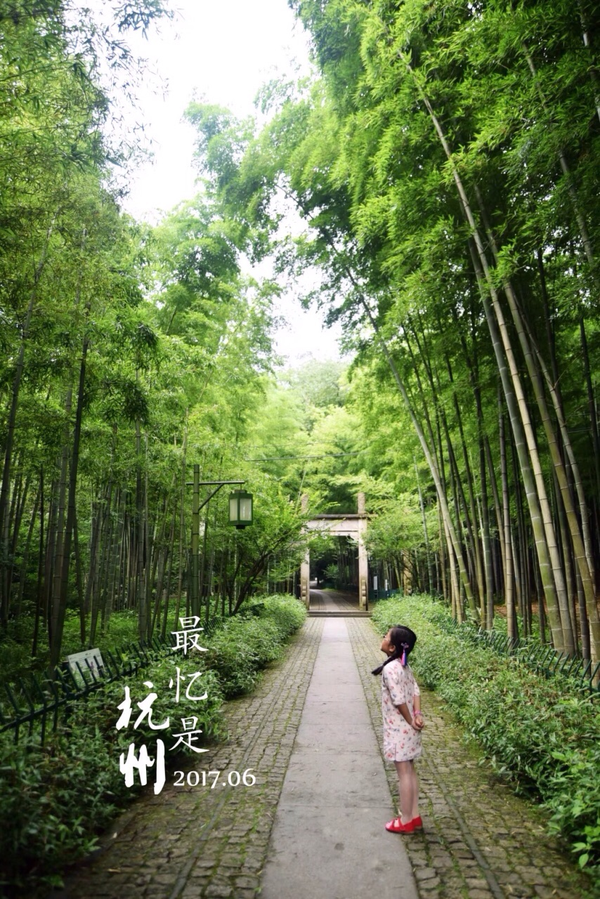 【浙江游记】杭州-梅家坞茶园——松轩竹径,药圃花蹊,茶园稻陌,竹坞梅溪 - 知乎