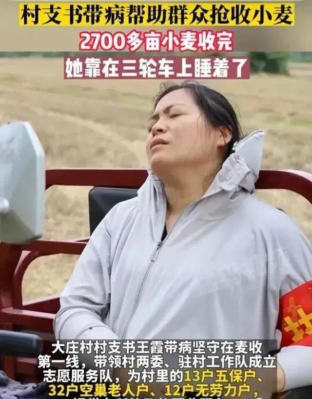 “庄稼人怎么那么白?”揭开河南美女村支书麦田睡觉图片的真相 - 知乎