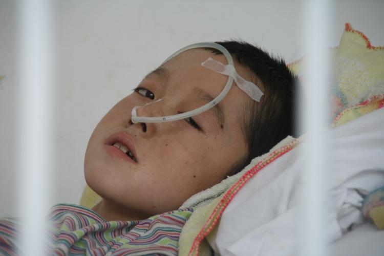 蜂产品治疗脑炎等疾病的偏方