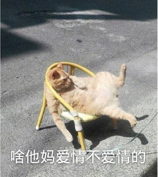 茶楼沙雕文案,茶楼沙雕文案短句