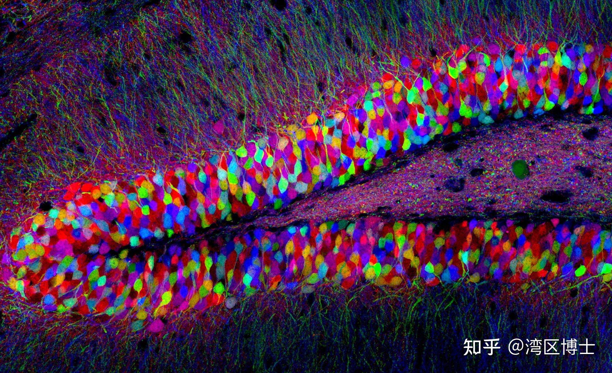 化学课题 | 点亮微观世界——aie荧光染料分子