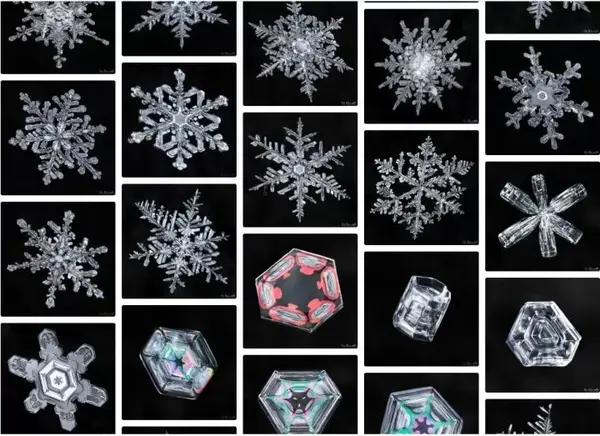 摄影师donkomarechkai来自天空的神秘结晶雪花的奥秘