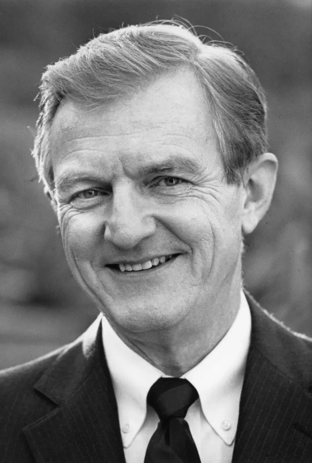 缅怀人类记忆探索者gordonbower