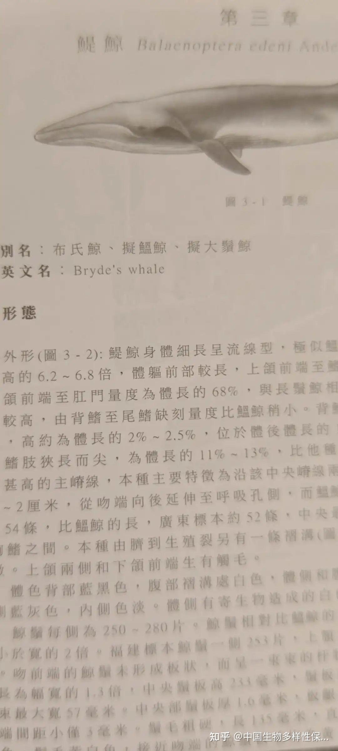 王丕烈教授与《中国鲸类》研究的60年探索| 国际环境英雄传- 知乎