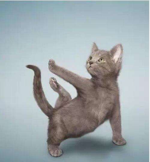 几个简单的睡前拉伸长高动作