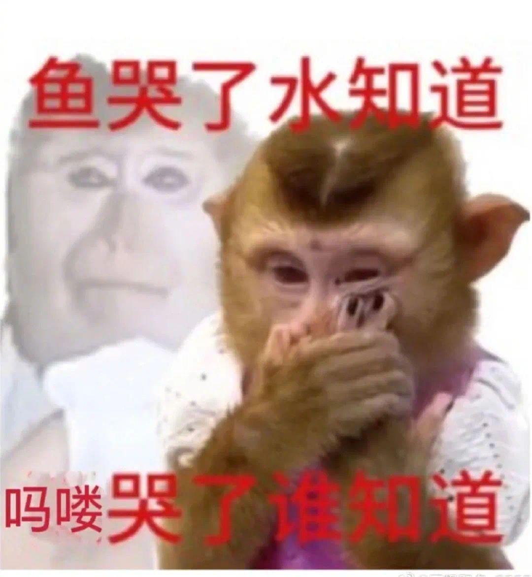 吗喽表情包第三波来咯! - 知乎