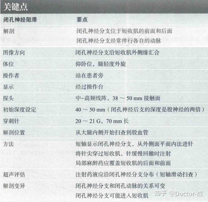 笔记-闭孔神经 - 知乎