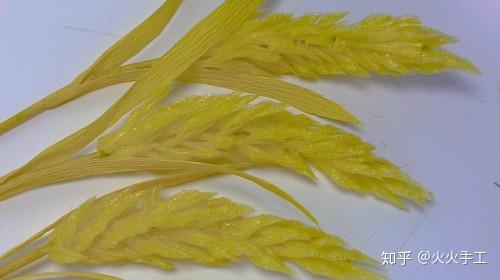 开业用的麦穗 v2-c30192495bf9e564fda558d5ef759291_r.jpg