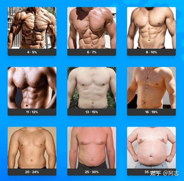 分享男性女性体脂率对比图 知乎 分享男性女性体脂率对比图 知乎