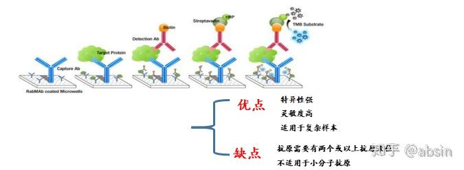 (三)竞争法酶联免疫吸附检测法测定抗原或抗体,不论是定量还是定性