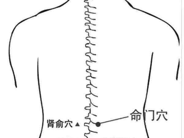 1月9日三九灸迎來最重要的9天一年最後的艾灸黃金時間帶來3個天大的