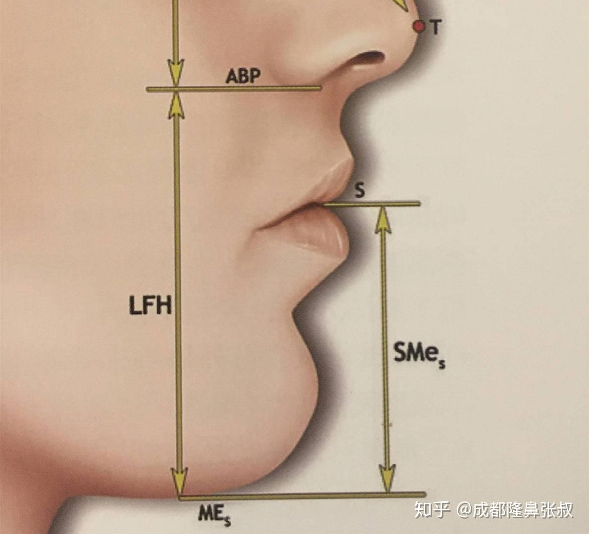 理想的鼻子是什么样的呢? - 知乎
