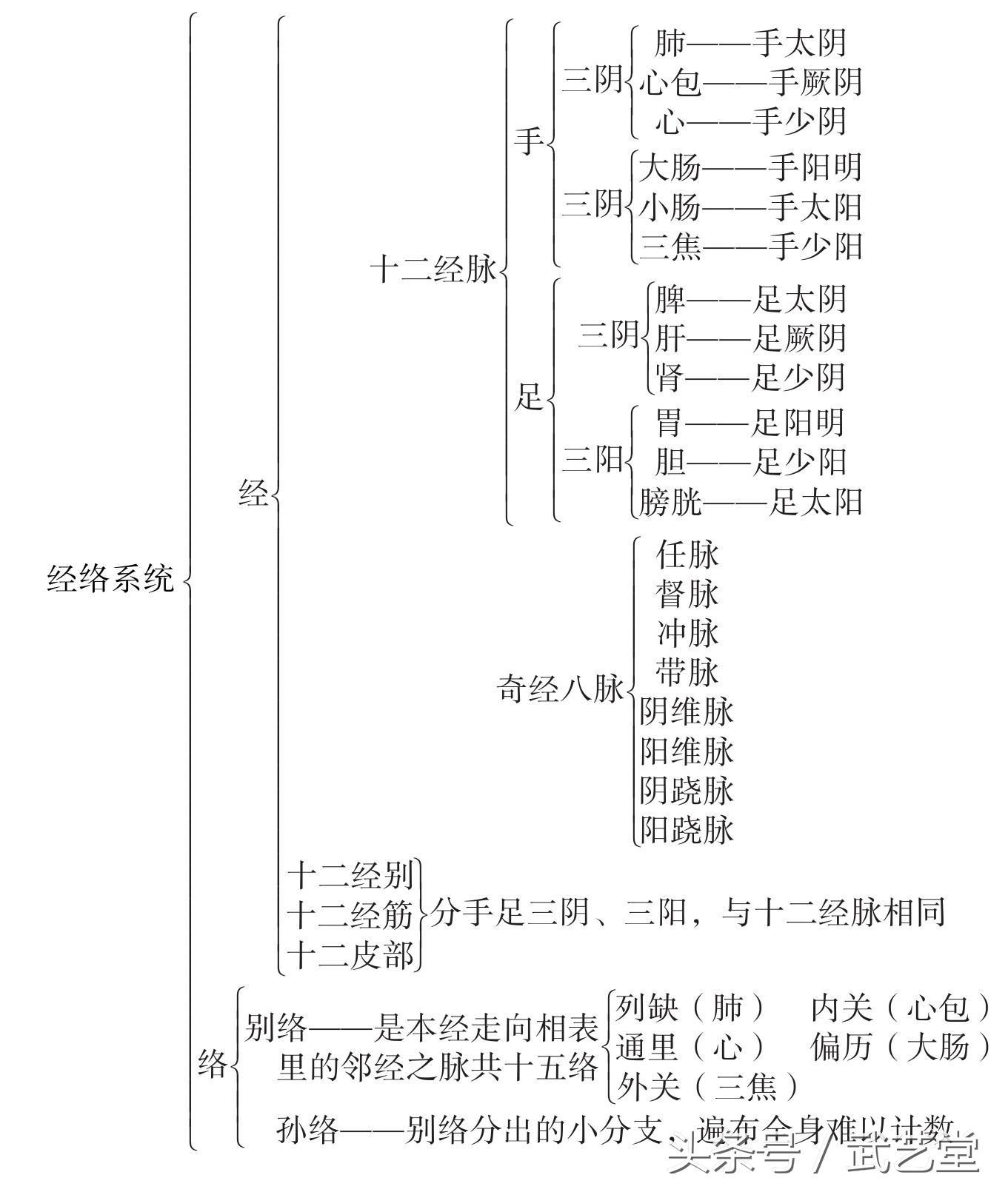 祖传点穴解穴疗伤秘诀经络及穴位