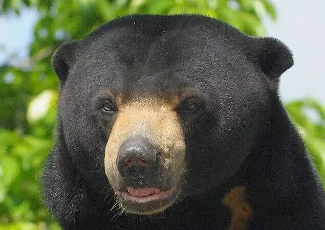 史上最好的沙巴小众旅行攻略，没有之一。