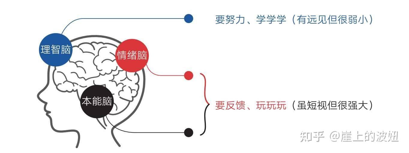 直觉有时候会欺骗你,请别太相信! - 知乎