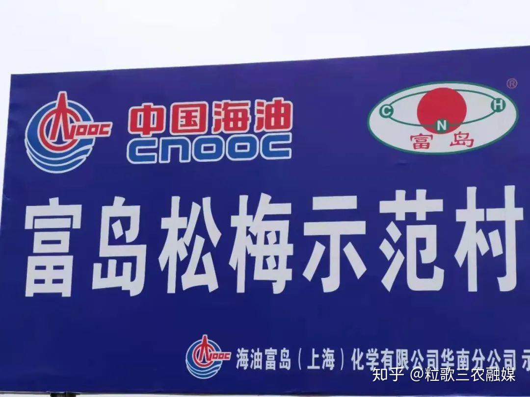 村书记如何在"变"中求"富"——富岛 翔燕 中国化肥增值行动 - 知乎