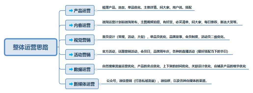 电商运营天猫淘宝整体运营思路把握全局赢在未来