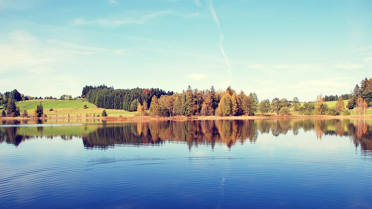 【每日推送】06.06 CPA经济法(几类主要的有