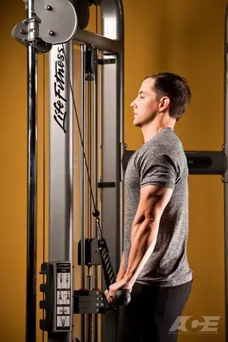 三头肌下压手臂训练