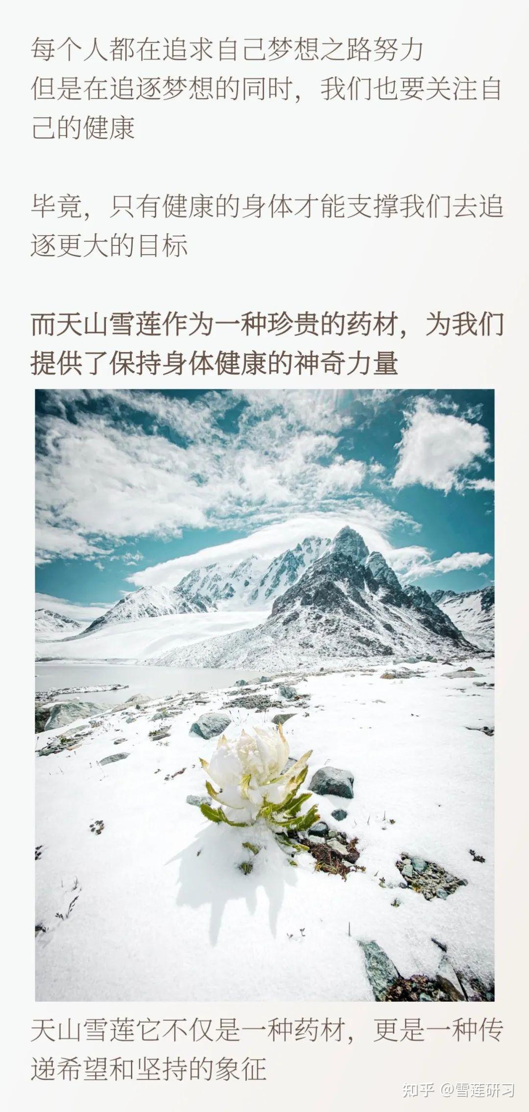 寒潮來襲寒溼仙草天山雪蓮潤澤人類健康讓生命更溫暖