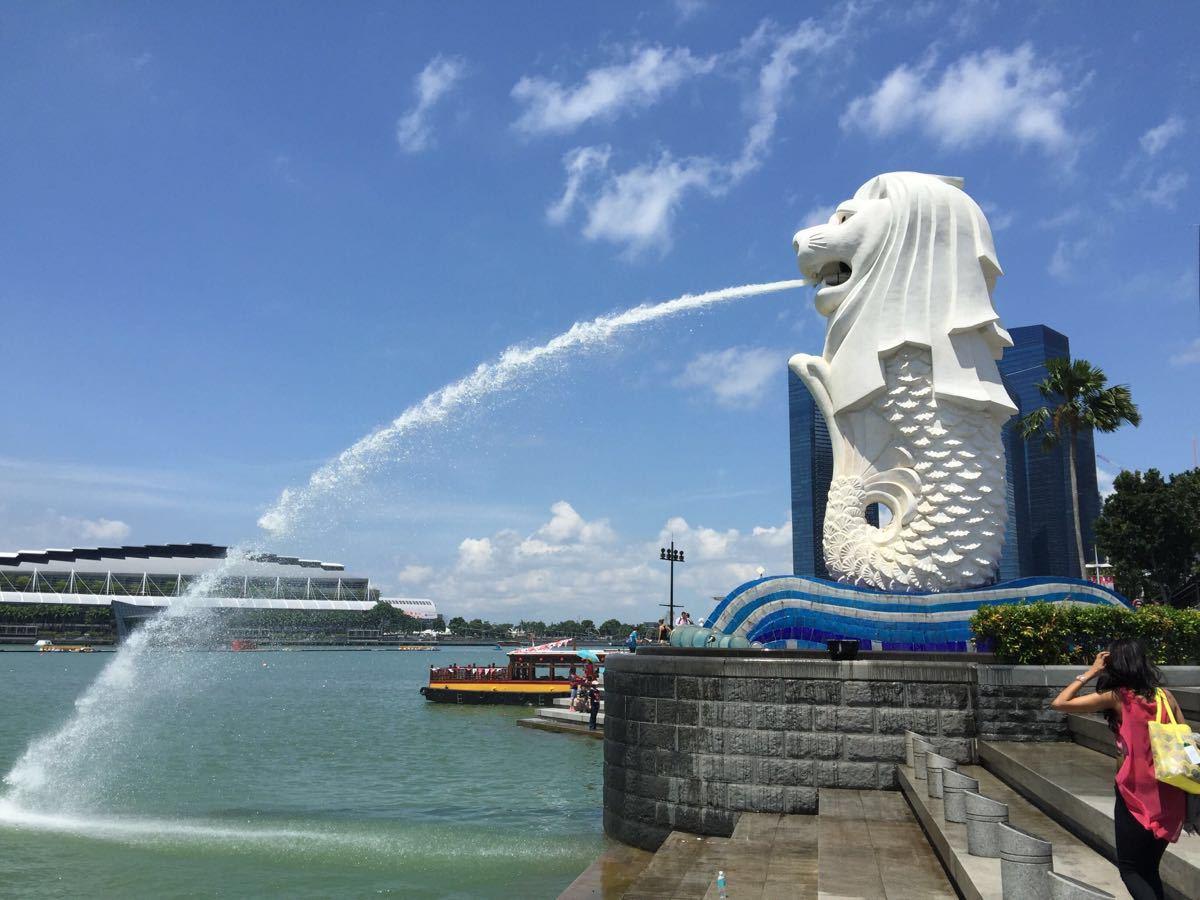 新加坡滨海湾高清大图高清图片下载-正版图片500608890-摄图网