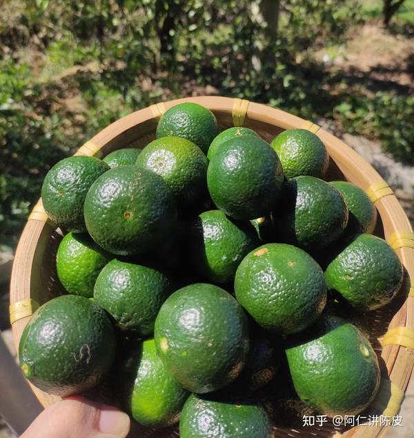 小青柑茶解析:什么是小青柑?适合哪些人饮用? - 知乎