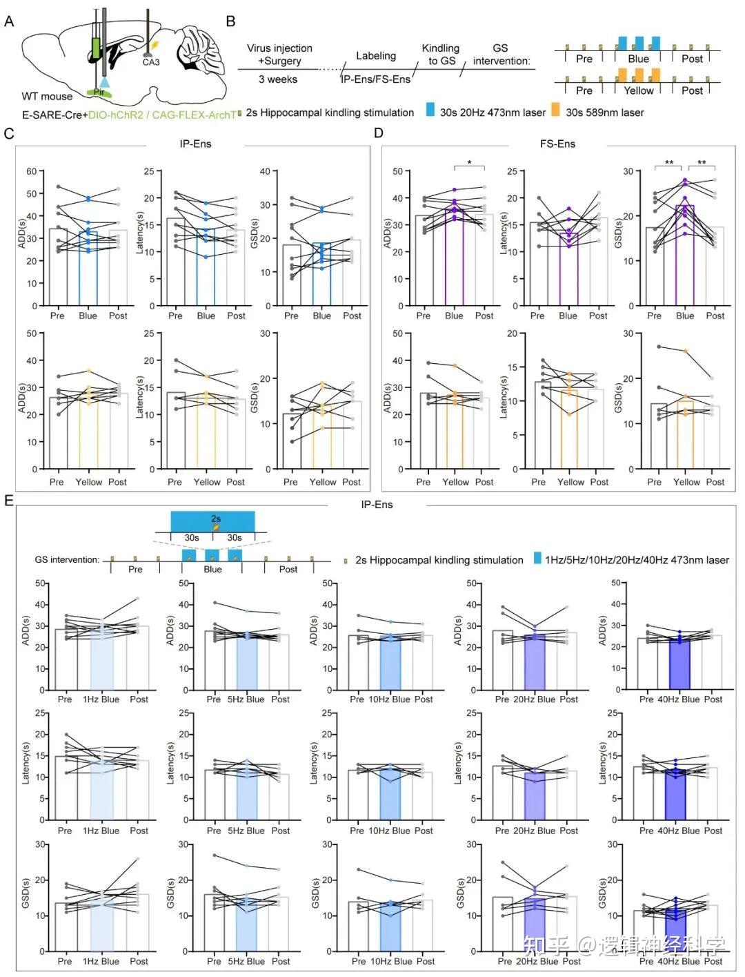Cell Reports︱“阻止癫痫点燃的湿火柴”，浙江大学、浙江中医药大学的陈忠/汪仪团队解析癫痫发作间期治疗意义 - 知乎