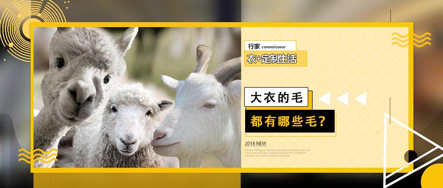 大衣含毛量越高越好吗 知乎