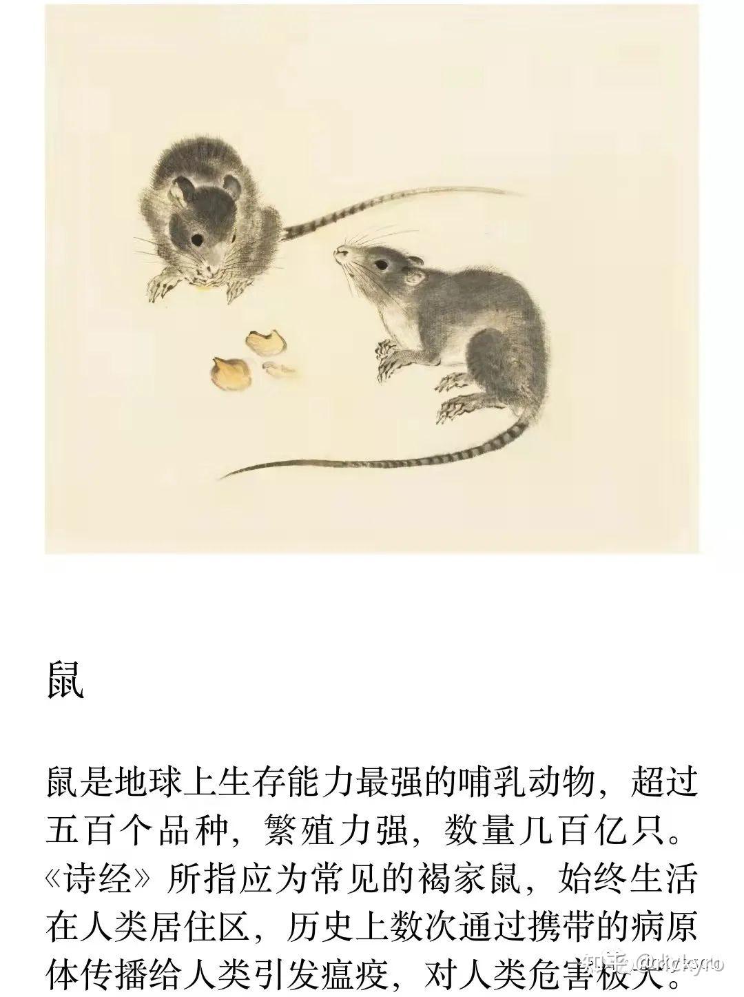 鄘风*蝃蝀(对私奔者的讽谏)