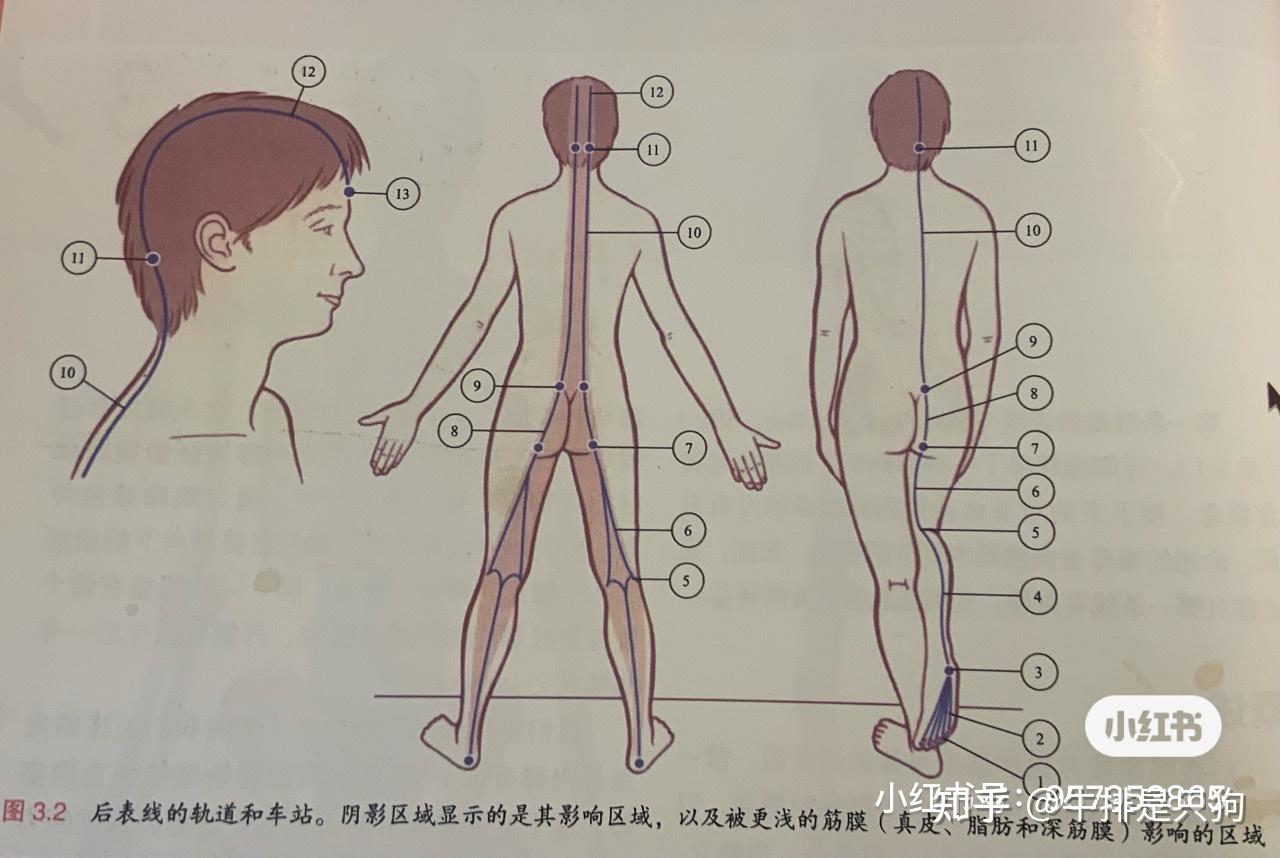 3.《解剖列车》后表线1 - 知乎