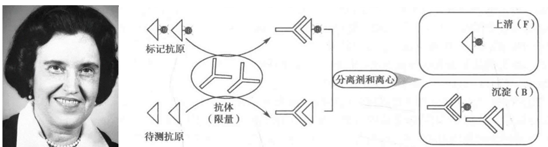 获得过诺贝尔奖的免疫学技术:补体结合试验和放射免疫分析