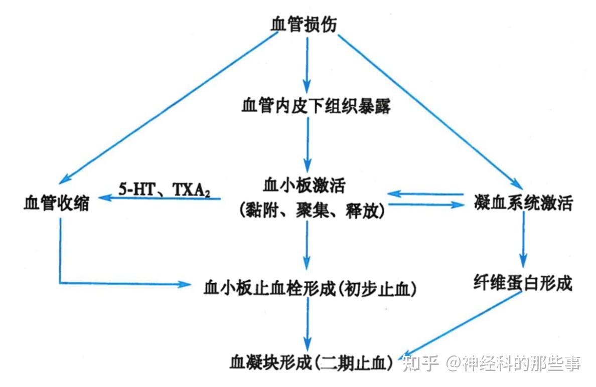 一,我们首先复习一下血小板的生理作用