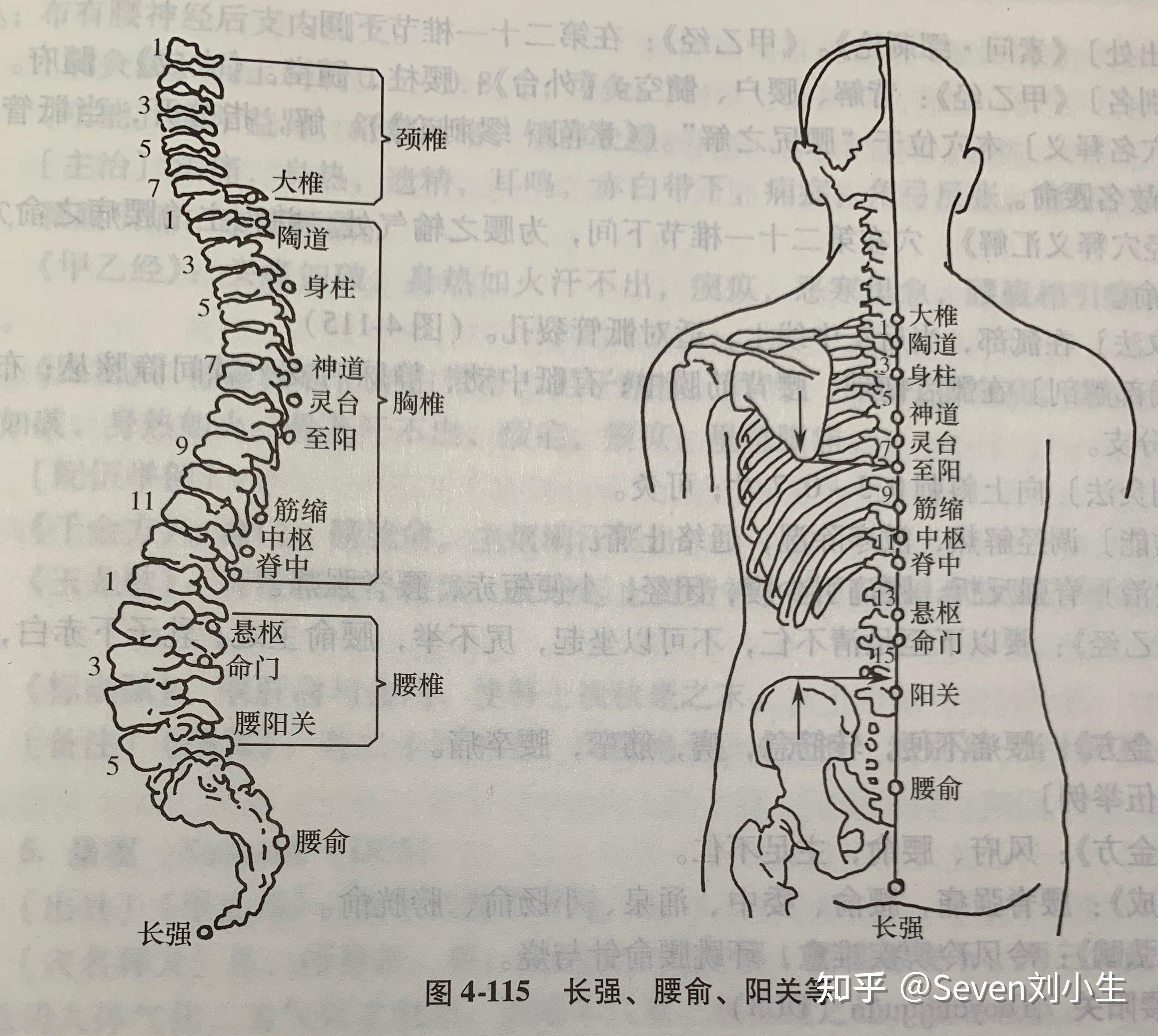 中医知识 - 知乎