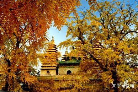 艮岳此园只应天上有