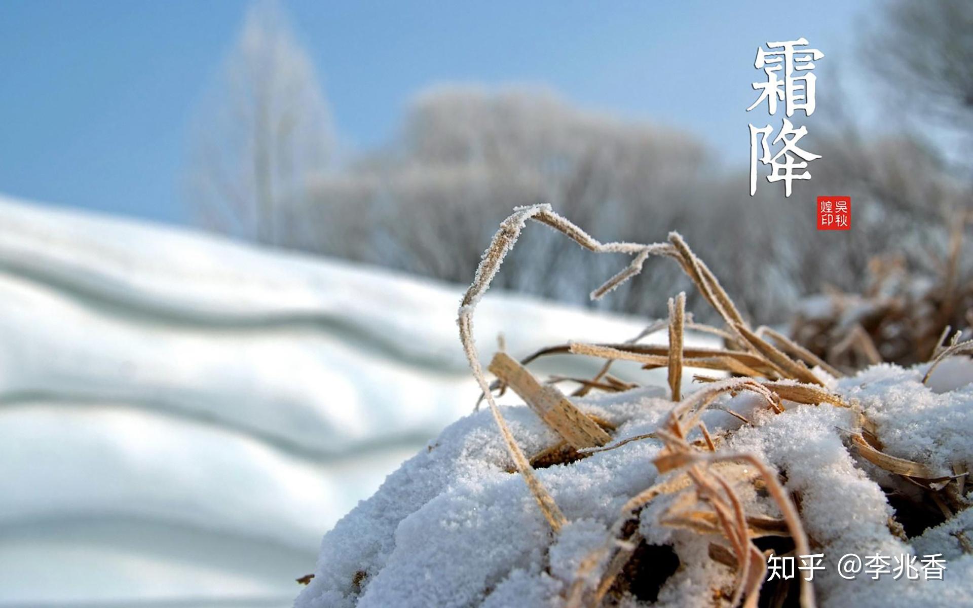 霜降节气 v2-c3cff2176ef4c4a3c8728d2f9ef4b2b1_r.jpg