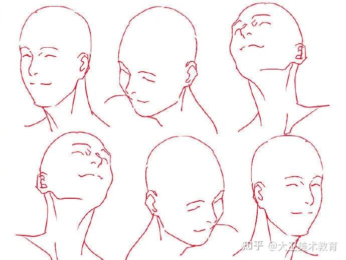 最后附上头像的不同角度练习素材供大家后期学习参考哦~切记千万不要