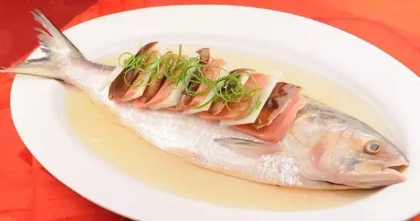 长江鲥鱼:滤食性鱼类,娇贵的水中西施 - 知乎
