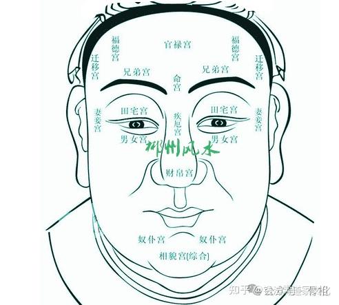 面相学五官分析,从五官看一生运势吉凶,看看你的面相还OK吗? - 知乎